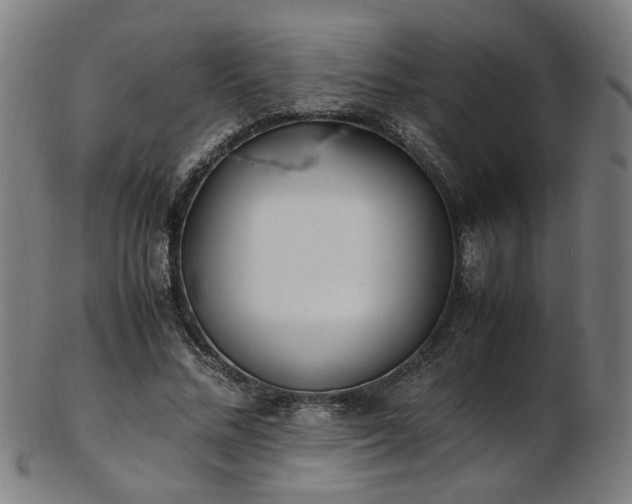 X0000103430684200809121330