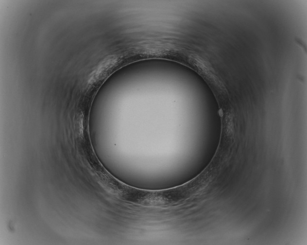 X0000103430685200809121330