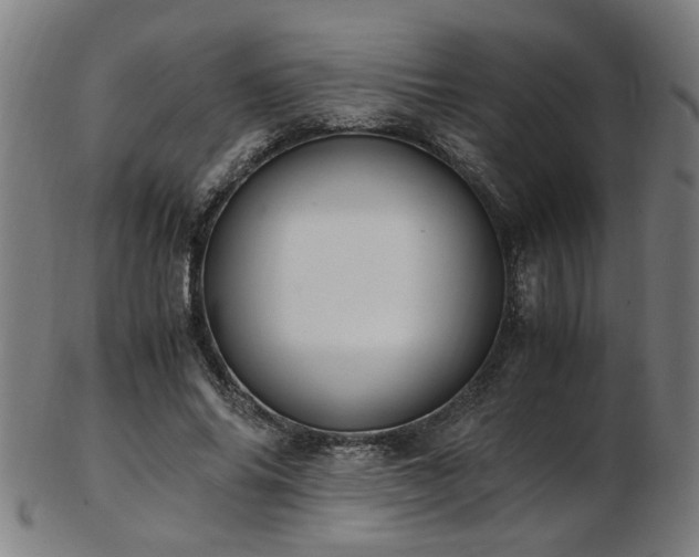 X0000103430686200809121330