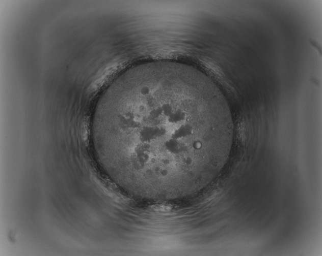 X0000103430687200809121330