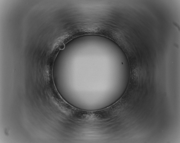 X0000103430688200809121330