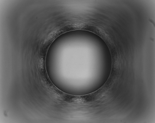 X0000103430689200809121330