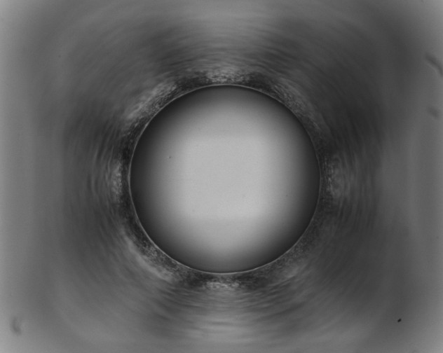 X0000103430690200809121330