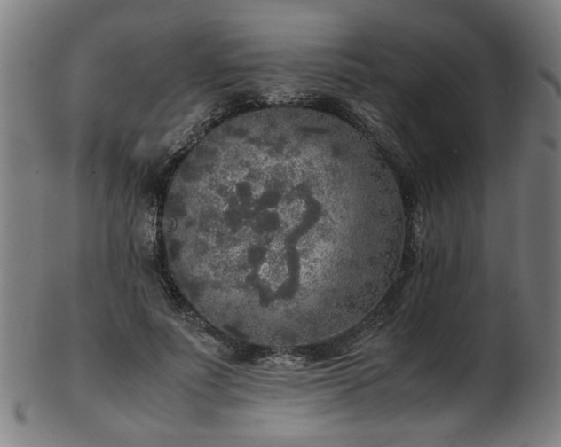 X0000103430691200809121330