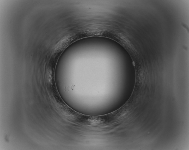 X0000103430693200809121330