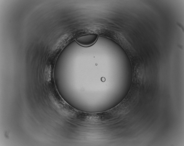 X0000103430694200809121330