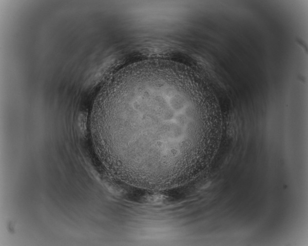 X0000103430695200809121330
