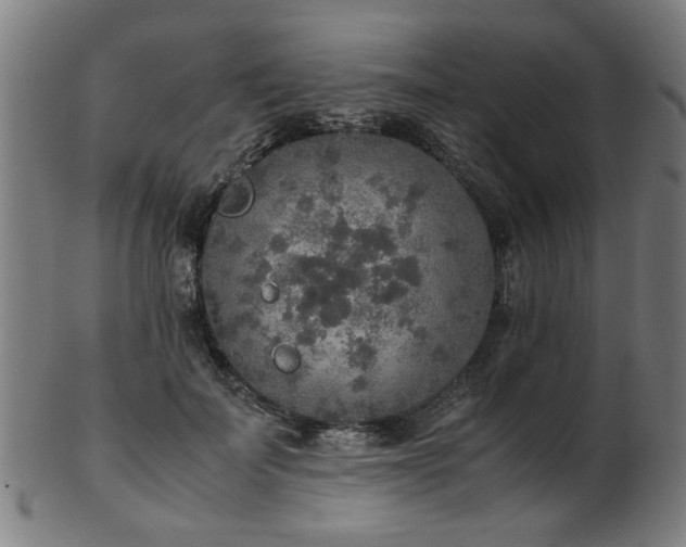 X0000103430699200809121330
