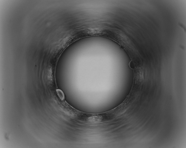 X0000103430700200809121330