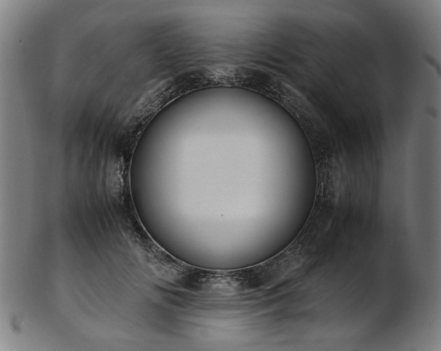 X0000103430702200809121330