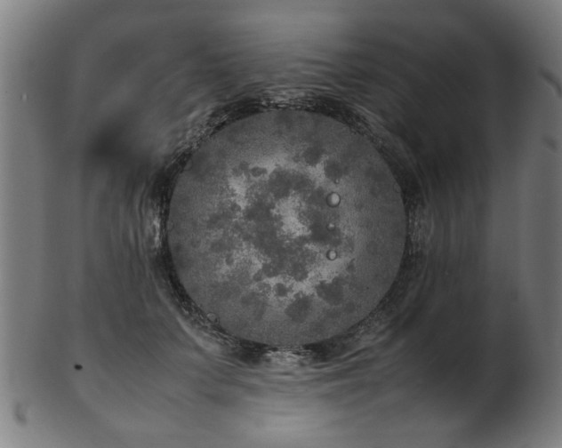 X0000103430703200809121330