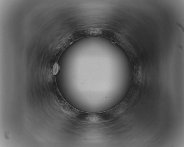 X0000103430704200809121330