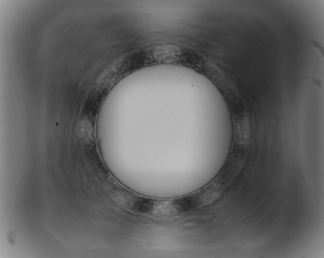 X0000103430705200809121330
