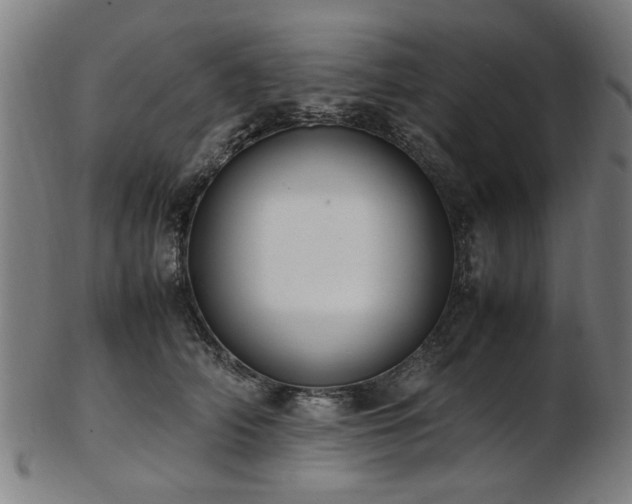 X0000103430706200809121330