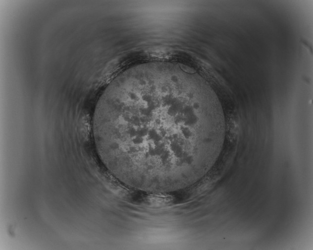 X0000103430707200809121330