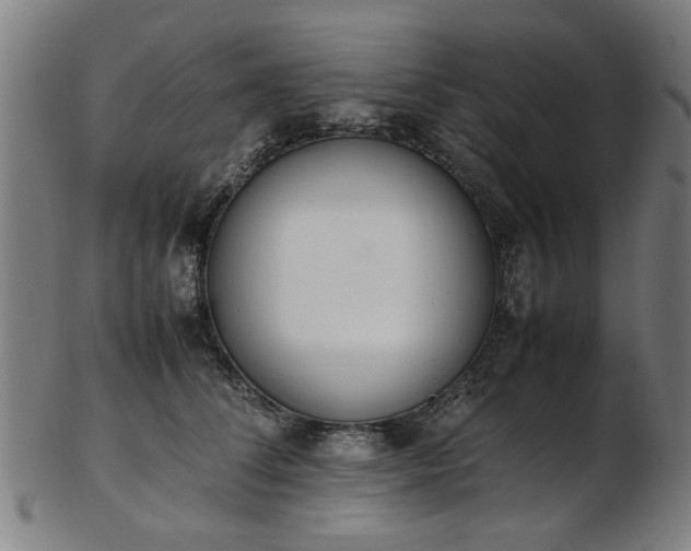 X0000103430708200809121330