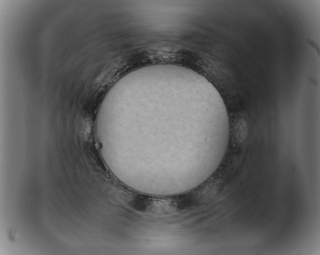 X0000103430709200809121330