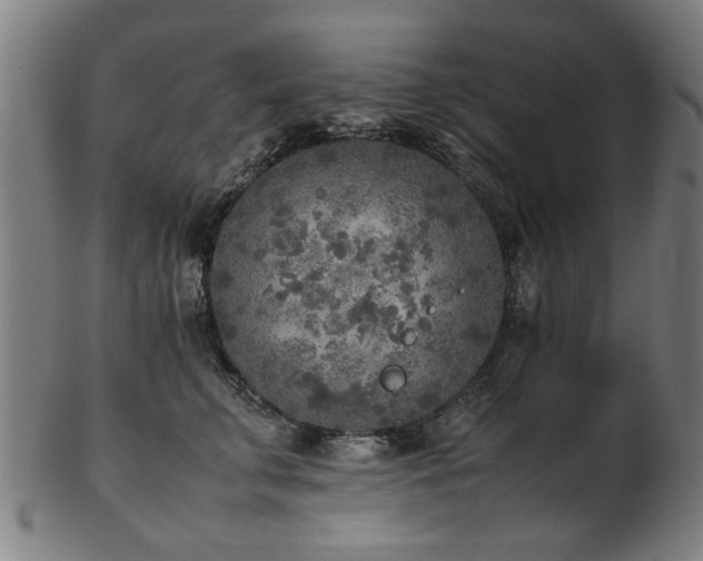 X0000103430711200809121330
