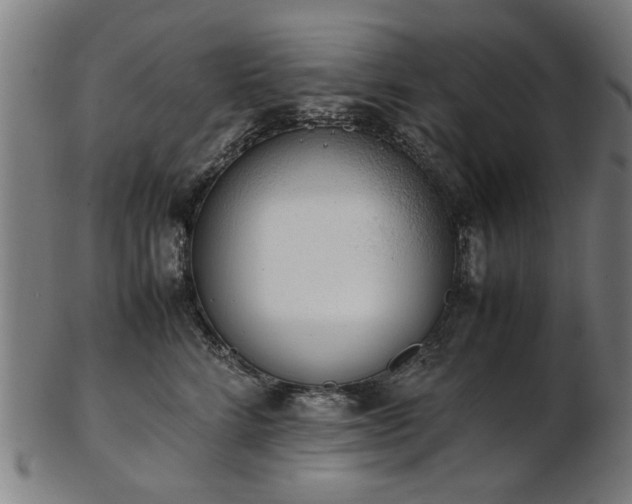 X0000103430712200809121330