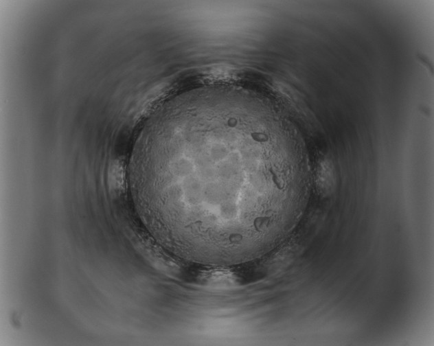 X0000103430715200809121330