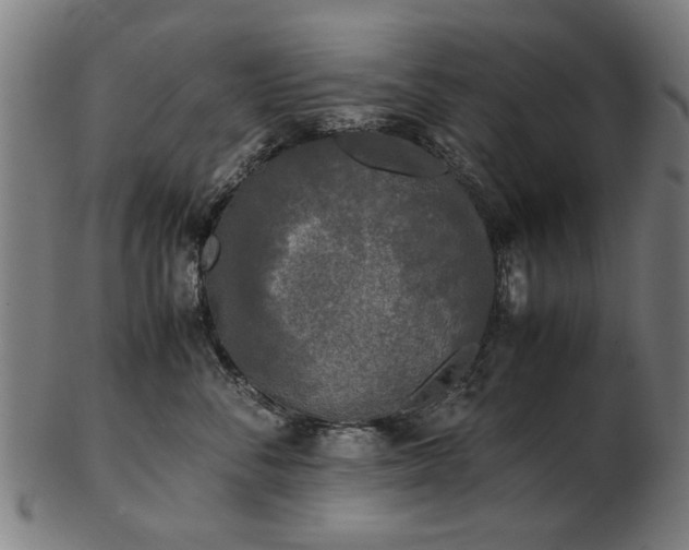 X0000103430716200809121330