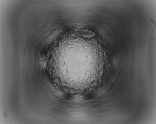 X0000103430719200809121330