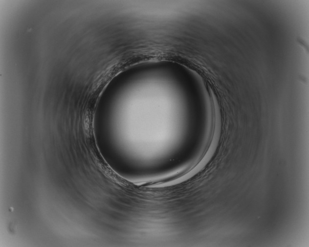 X0000103430720200809121330