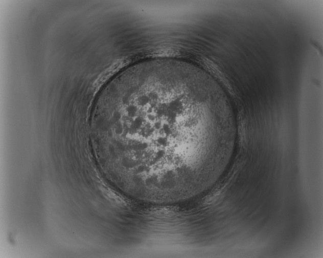 X0000103430721200809121329