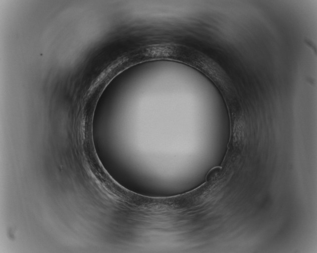 X0000103430722200809121329
