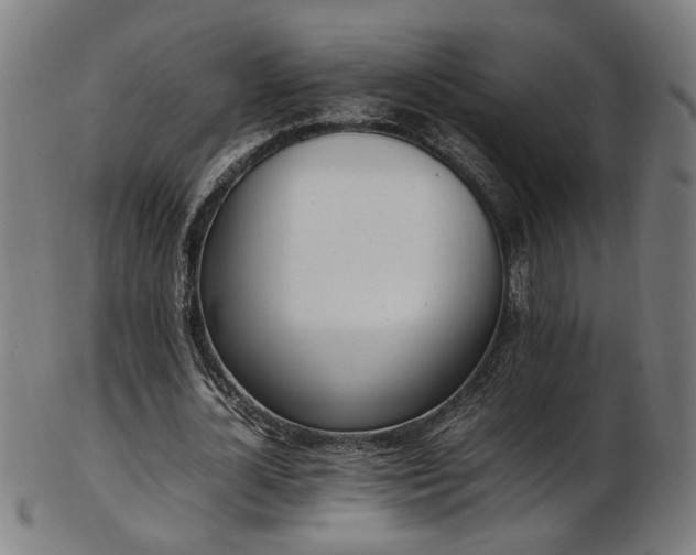 X0000103430724200809121329
