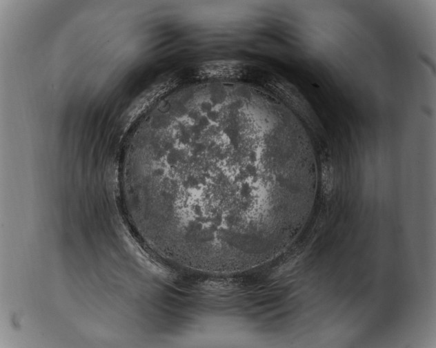 X0000103430725200809121329