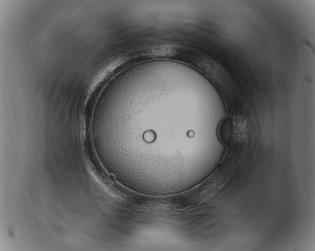 X0000103430726200809121329