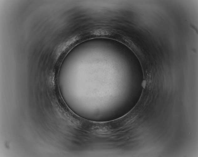 X0000103430727200809121329