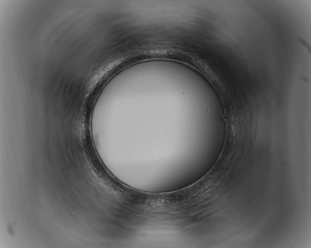 X0000103430728200809121329