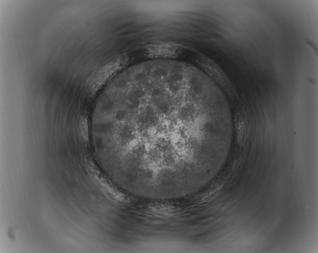 X0000103430729200809121329