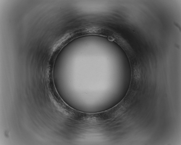 X0000103430730200809121329