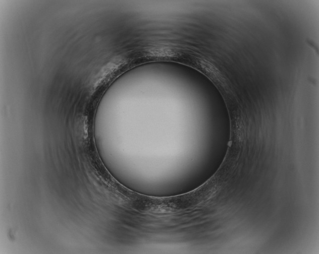 X0000103430731200809121329