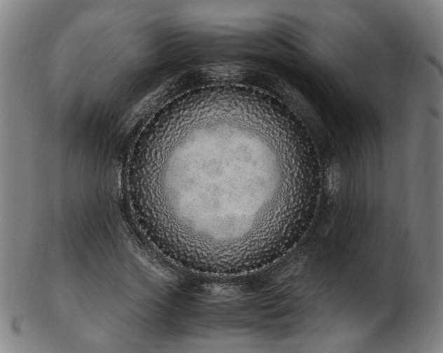 X0000103430733200809121329