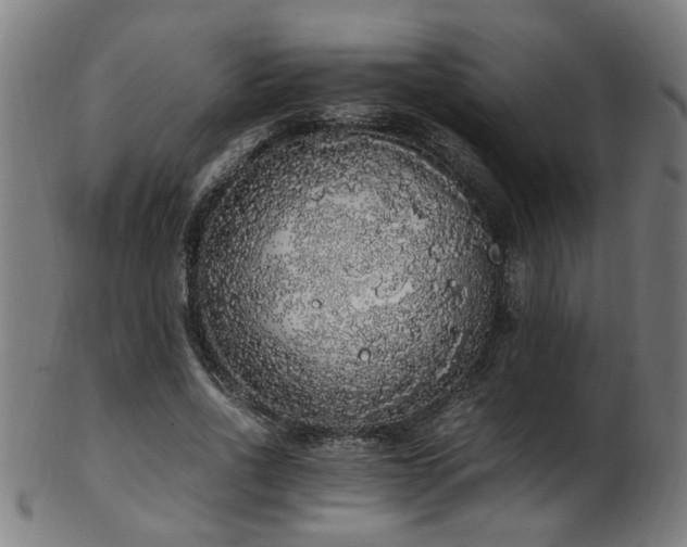 X0000103430734200809121329