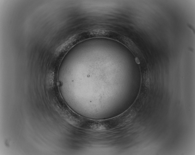 X0000103430735200809121329