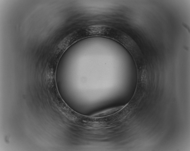 X0000103430737200809121329
