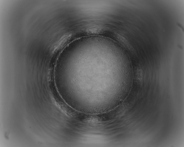 X0000103430738200809121329