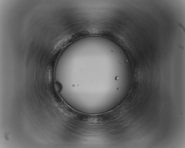 X0000103430740200809121329