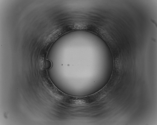X0000103430741200809121329