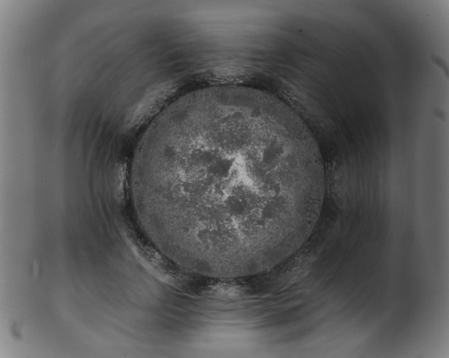 X0000103430742200809121329