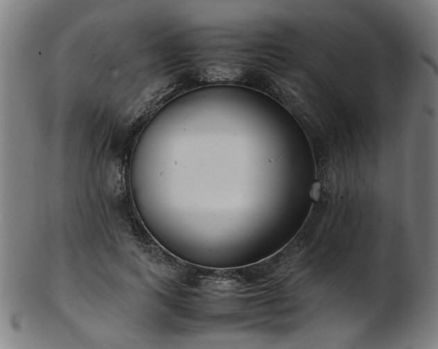 X0000103430743200809121329