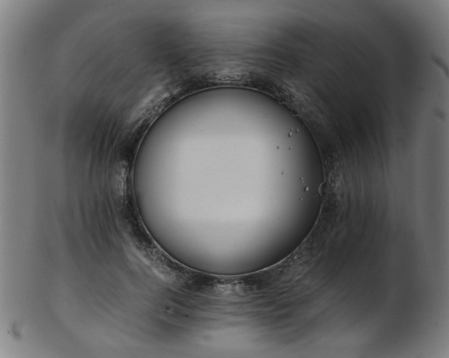 X0000103430744200809121329
