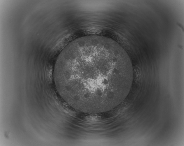 X0000103430745200809121329