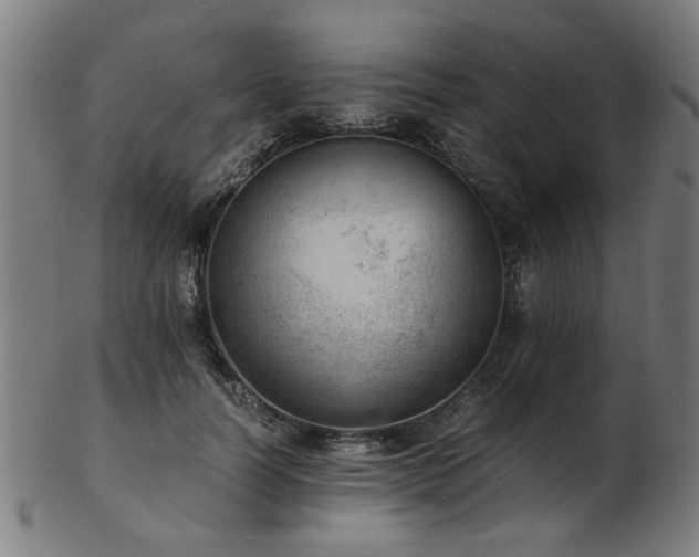 X0000103430746200809121329