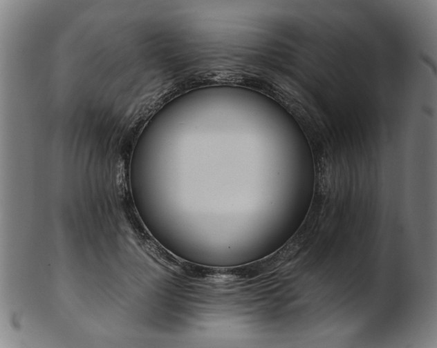 X0000103430748200809121329